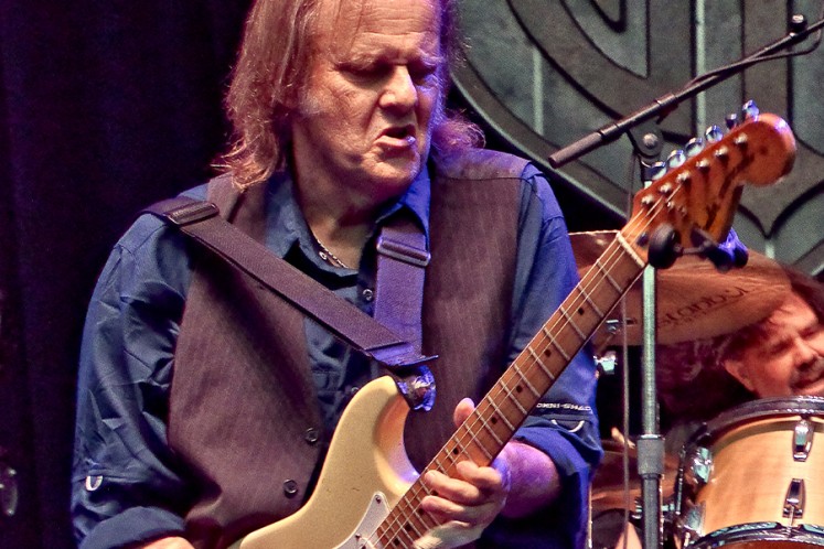 walter trout tour cancelled